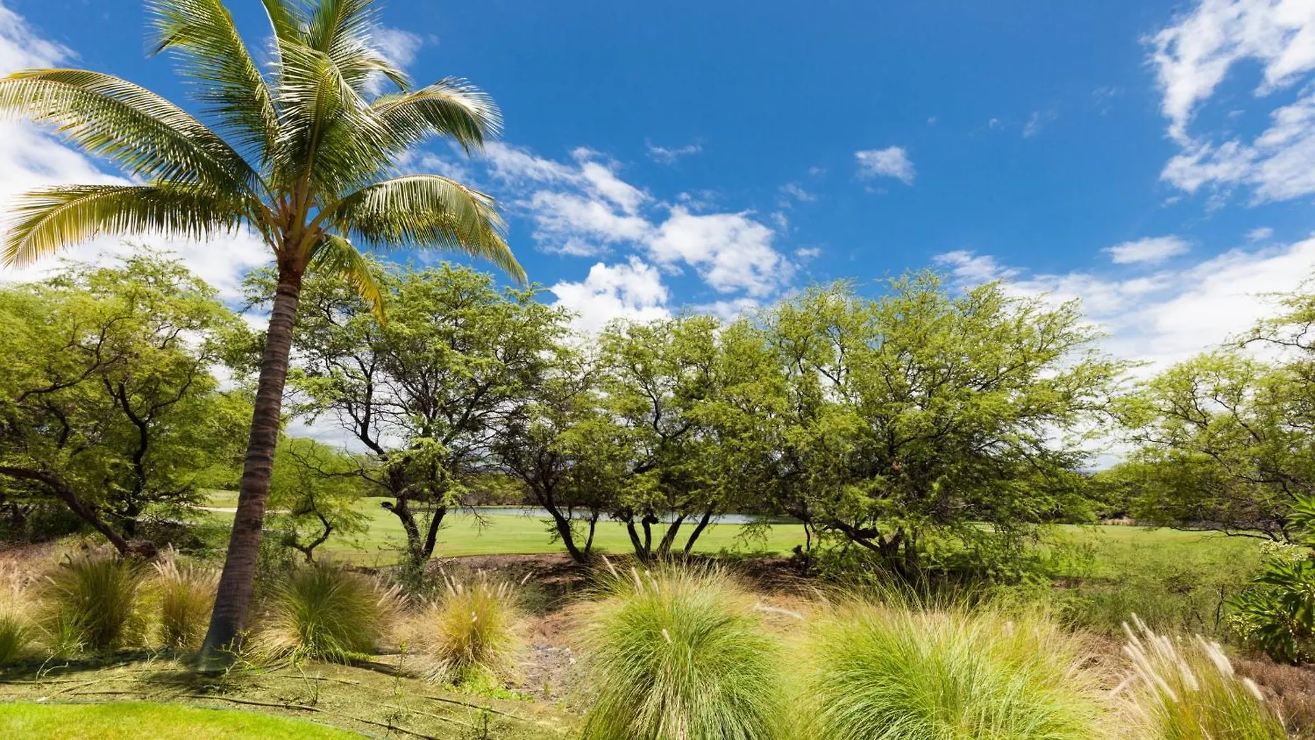 Starfish Amazing 3Br Home With Best Kulalani Outdoor Living Area Waikoloa